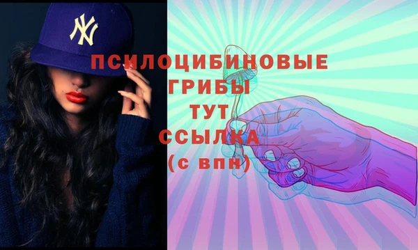 ПСИЛОЦИБИНОВЫЕ ГРИБЫ Алзамай