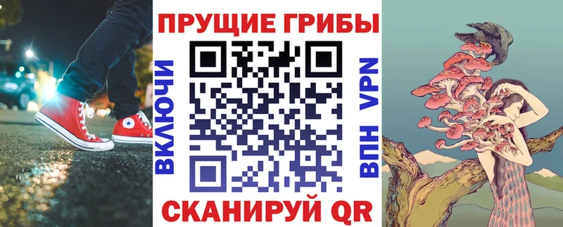 где купить наркотик  Жигулёвск  Псилоцибиновые грибы Psilocybine cubensis 